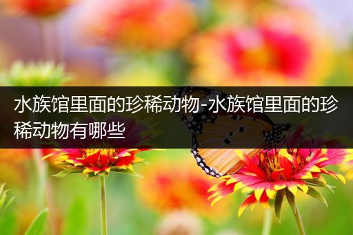 水族馆里面的珍稀动物-水族馆里面的珍稀动物有哪些