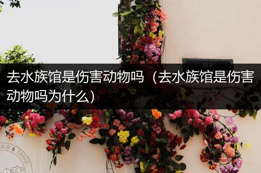 去水族馆是伤害动物吗（去水族馆是伤害动物吗为什么）