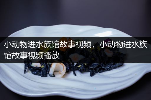小动物进水族馆故事视频，小动物进水族馆故事视频播放