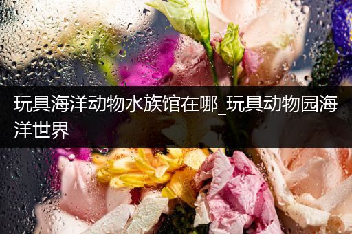 玩具海洋动物水族馆在哪_玩具动物园海洋世界
