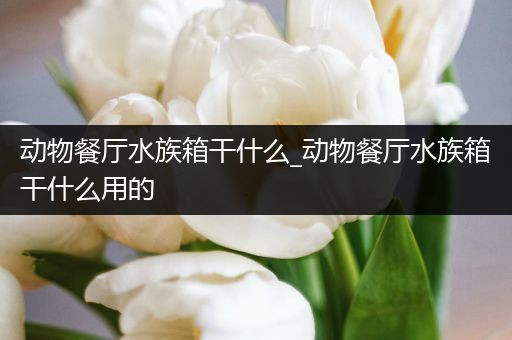 动物餐厅水族箱干什么_动物餐厅水族箱干什么用的