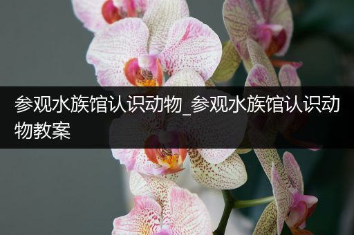 参观水族馆认识动物_参观水族馆认识动物教案