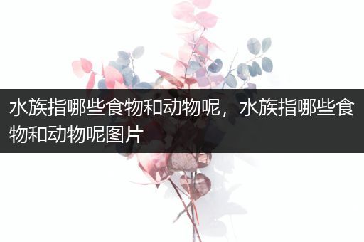 水族指哪些食物和动物呢，水族指哪些食物和动物呢图片