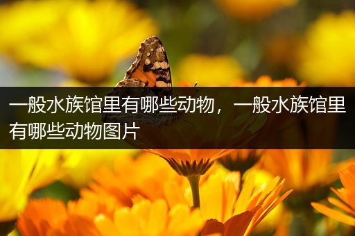 一般水族馆里有哪些动物，一般水族馆里有哪些动物图片