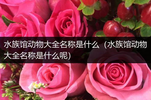 水族馆动物大全名称是什么（水族馆动物大全名称是什么呢）