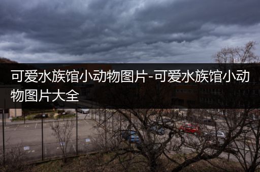 可爱水族馆小动物图片-可爱水族馆小动物图片大全