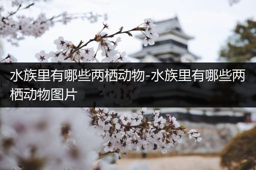 水族里有哪些两栖动物-水族里有哪些两栖动物图片