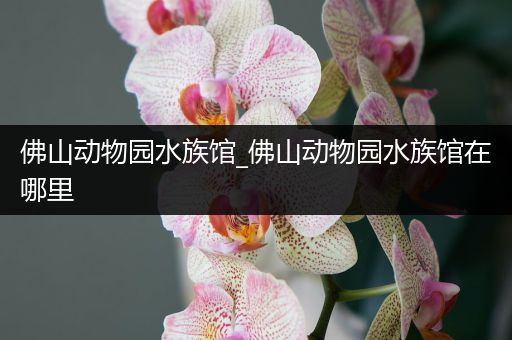 佛山动物园水族馆_佛山动物园水族馆在哪里