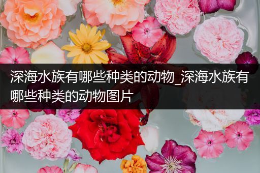 深海水族有哪些种类的动物_深海水族有哪些种类的动物图片