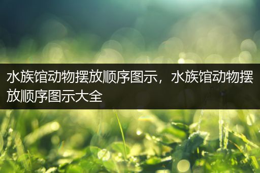 水族馆动物摆放顺序图示，水族馆动物摆放顺序图示大全
