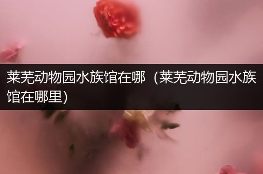 莱芜动物园水族馆在哪（莱芜动物园水族馆在哪里）