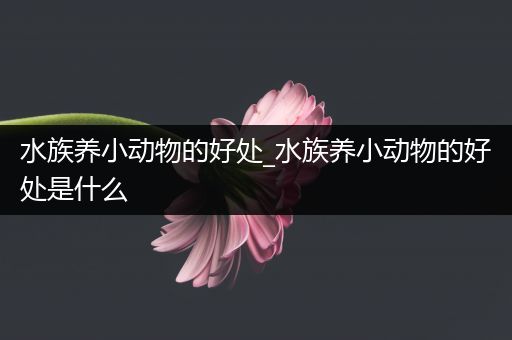 水族养小动物的好处_水族养小动物的好处是什么