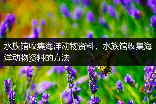 水族馆收集海洋动物资料，水族馆收集海洋动物资料的方法