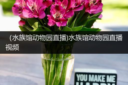 （水族馆动物园直播)水族馆动物园直播视频