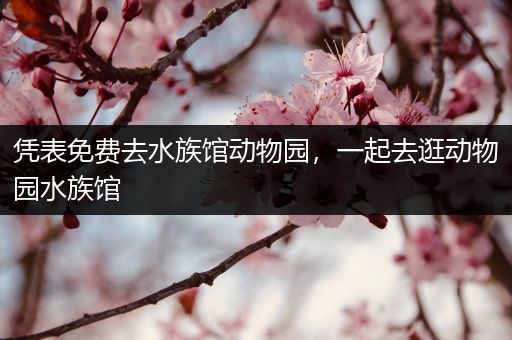 凭表免费去水族馆动物园，一起去逛动物园水族馆