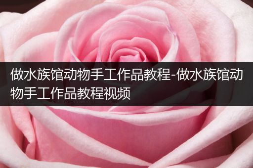 做水族馆动物手工作品教程-做水族馆动物手工作品教程视频