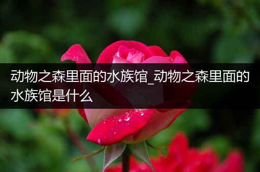 动物之森里面的水族馆_动物之森里面的水族馆是什么