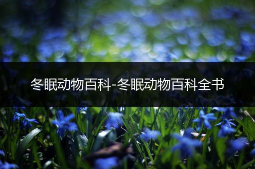冬眠动物百科-冬眠动物百科全书