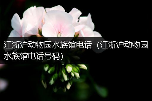 江浙沪动物园水族馆电话（江浙沪动物园水族馆电话号码）