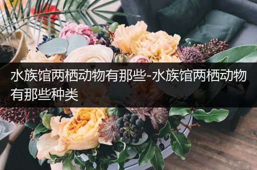水族馆两栖动物有那些-水族馆两栖动物有那些种类