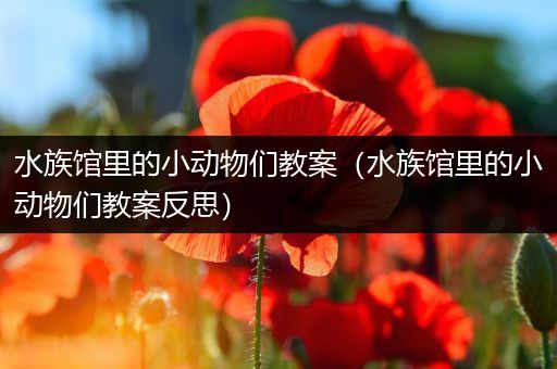 水族馆里的小动物们教案（水族馆里的小动物们教案反思）