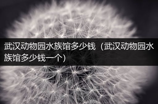 武汉动物园水族馆多少钱（武汉动物园水族馆多少钱一个）