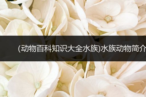 （动物百科知识大全水族)水族动物简介