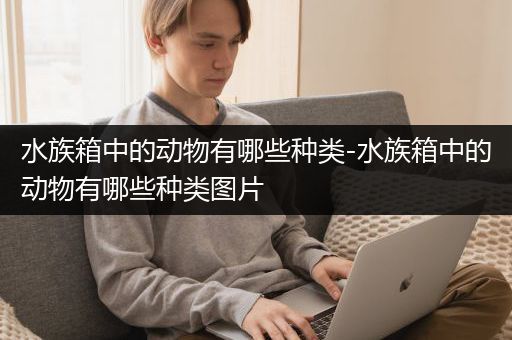 水族箱中的动物有哪些种类-水族箱中的动物有哪些种类图片