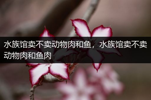 水族馆卖不卖动物肉和鱼，水族馆卖不卖动物肉和鱼肉