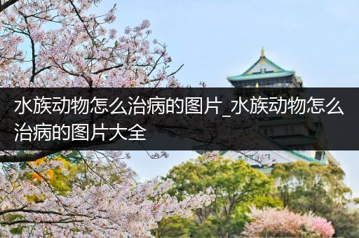 水族动物怎么治病的图片_水族动物怎么治病的图片大全