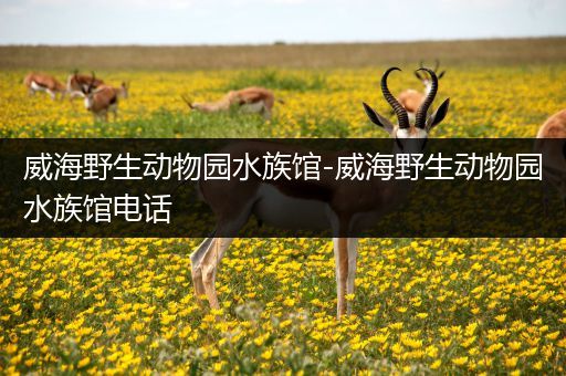 威海野生动物园水族馆-威海野生动物园水族馆电话