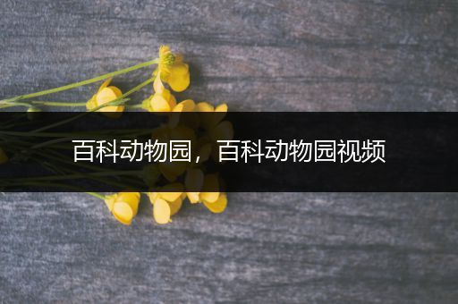百科动物园，百科动物园视频