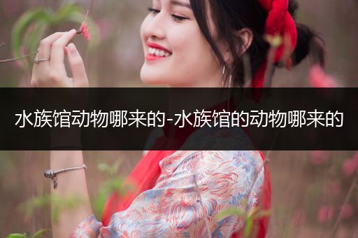 水族馆动物哪来的-水族馆的动物哪来的