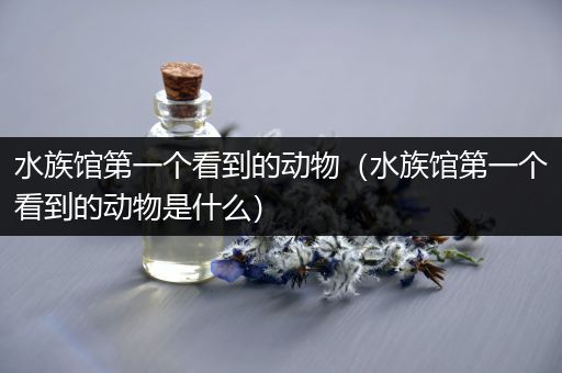 水族馆第一个看到的动物（水族馆第一个看到的动物是什么）