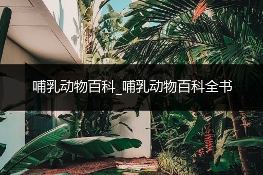 哺乳动物百科_哺乳动物百科全书