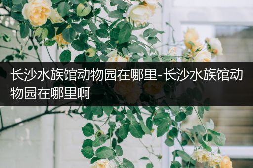 长沙水族馆动物园在哪里-长沙水族馆动物园在哪里啊