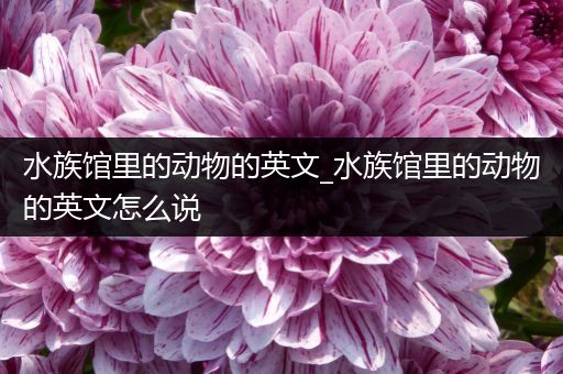 水族馆里的动物的英文_水族馆里的动物的英文怎么说