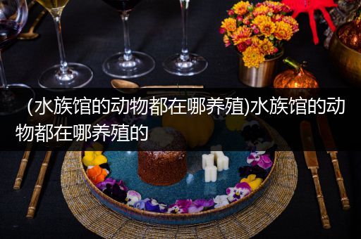 （水族馆的动物都在哪养殖)水族馆的动物都在哪养殖的