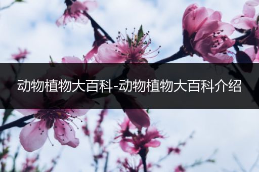 动物植物大百科-动物植物大百科介绍