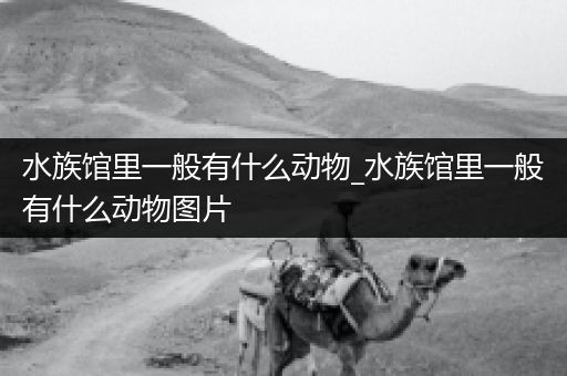 水族馆里一般有什么动物_水族馆里一般有什么动物图片