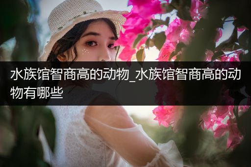 水族馆智商高的动物_水族馆智商高的动物有哪些
