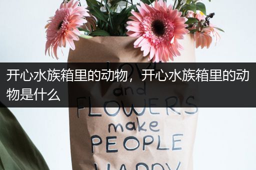 开心水族箱里的动物，开心水族箱里的动物是什么