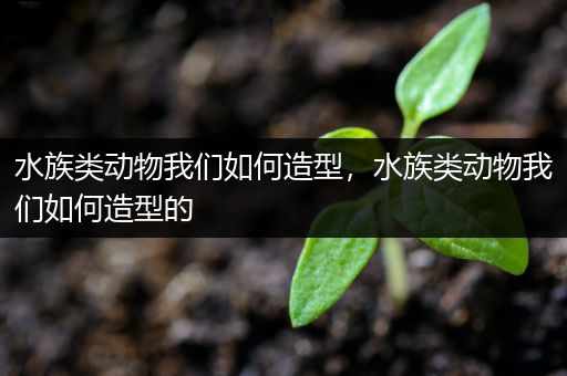 水族类动物我们如何造型，水族类动物我们如何造型的