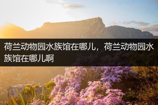 荷兰动物园水族馆在哪儿，荷兰动物园水族馆在哪儿啊