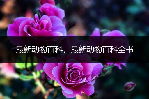 最新动物百科，最新动物百科全书