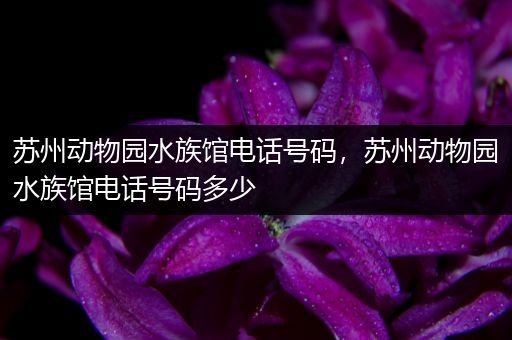 苏州动物园水族馆电话号码，苏州动物园水族馆电话号码多少
