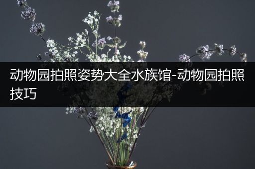 动物园拍照姿势大全水族馆-动物园拍照技巧