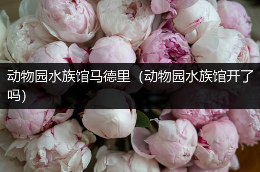 动物园水族馆马德里（动物园水族馆开了吗）