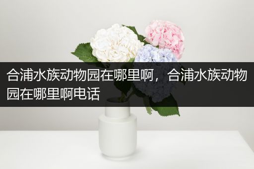 合浦水族动物园在哪里啊，合浦水族动物园在哪里啊电话