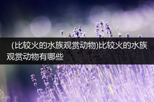 （比较火的水族观赏动物)比较火的水族观赏动物有哪些